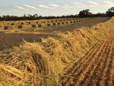 Limerick Meadow Hay Bale