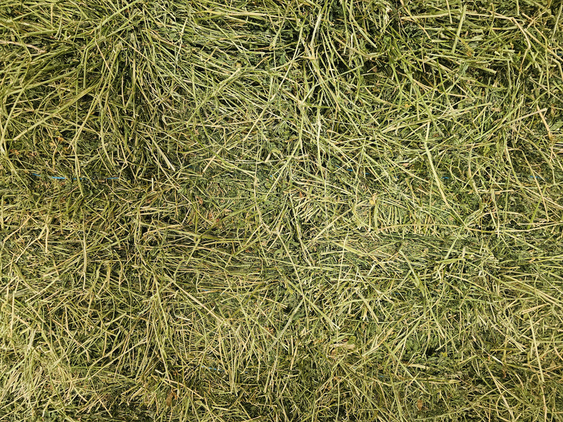 Lucerne Hay Bale Grade A