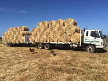 Limerick Meadow Roll Limit 1 Online