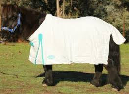 Mini Summer Cotton Rug 3'6