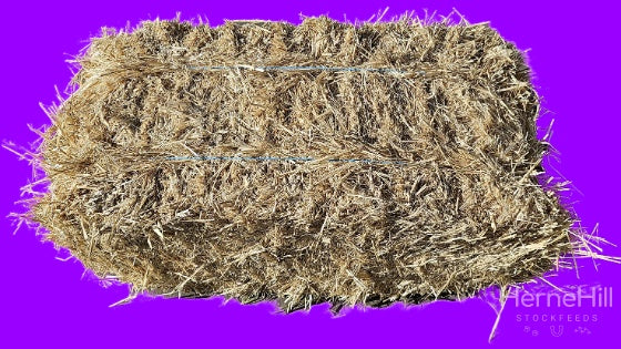 Barley Straw