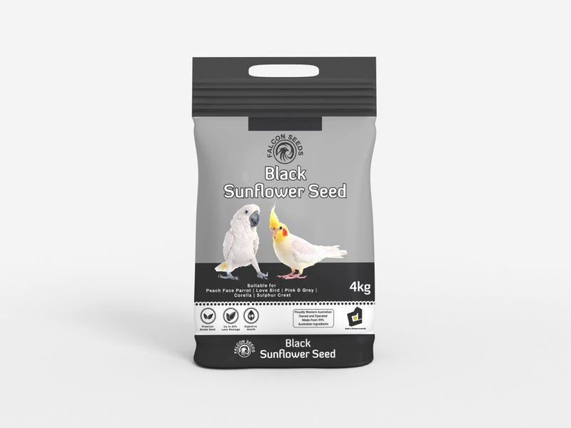 Falcon Black Sunflower