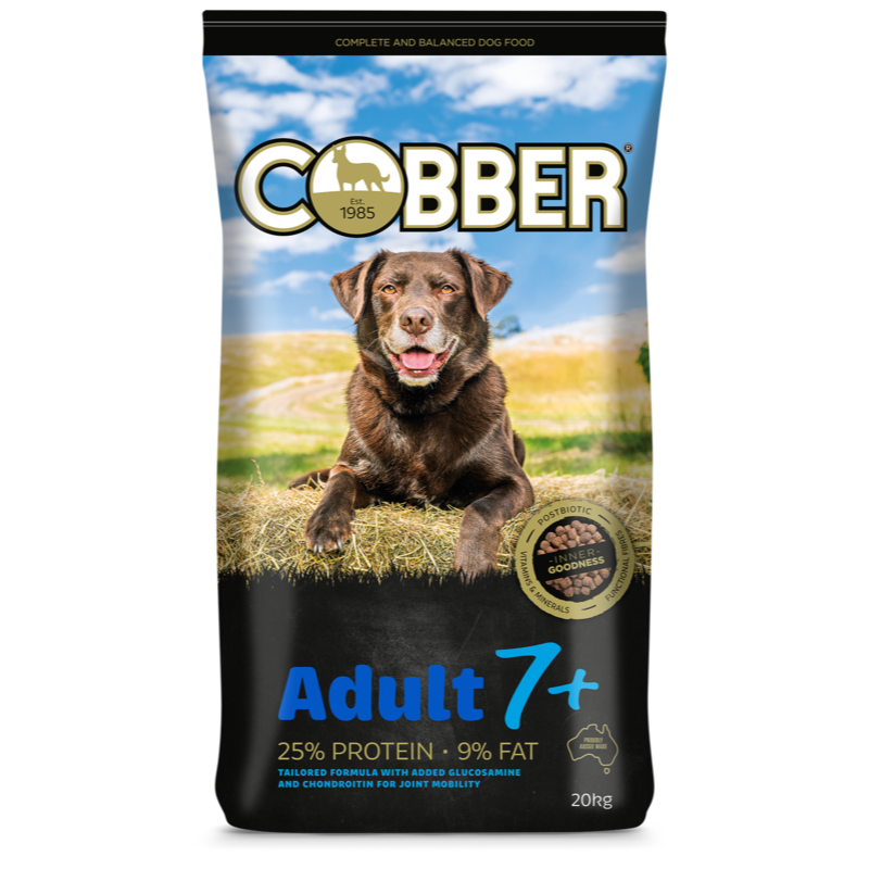 Cobber Adult 7+