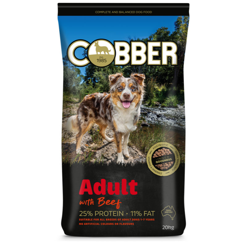 Cobber Adult Beef