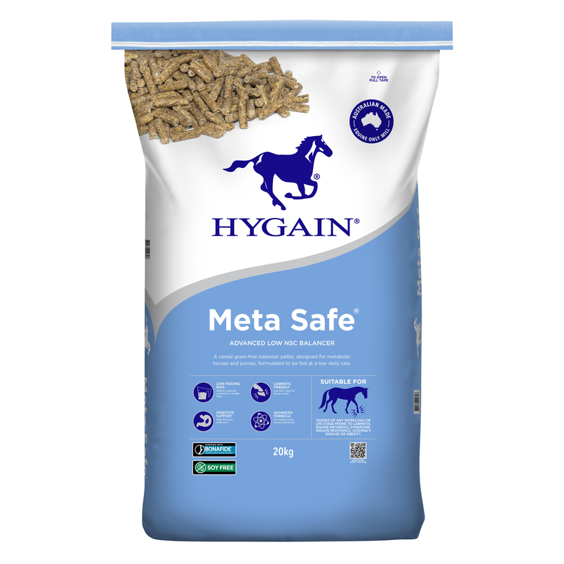 Metasafe
