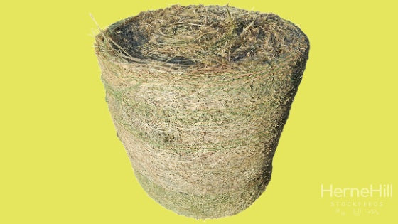 Oaten Roll. 4ft Limit 1 Online — Herne Hill Stockfeeds