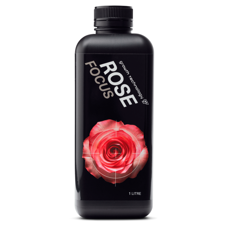 Rose Focus 1L