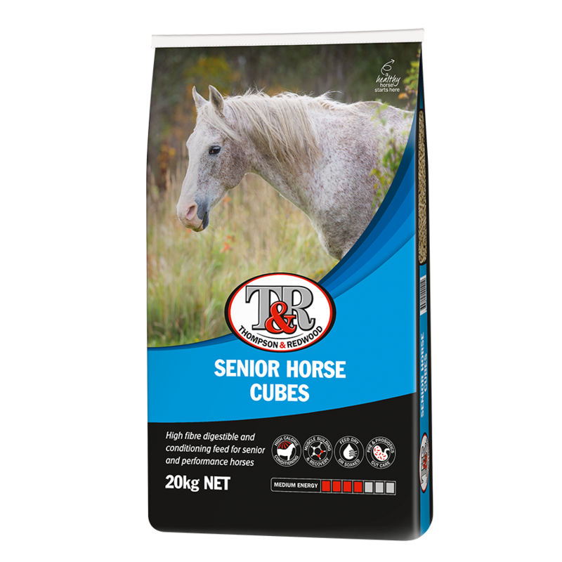 Senior Horse Cubes