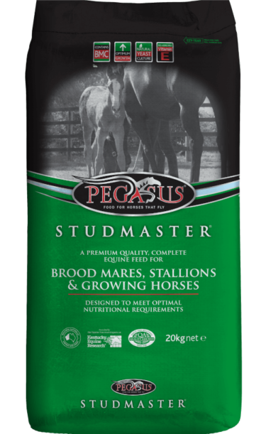 Pegasus Studmaster 20kg