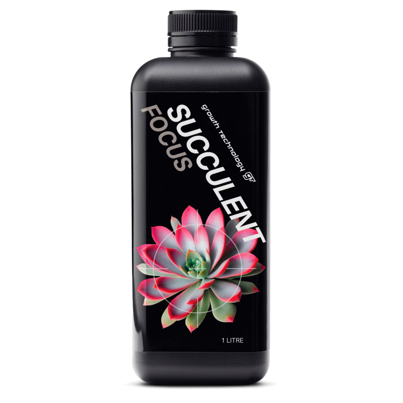 Succulent Focus 1L