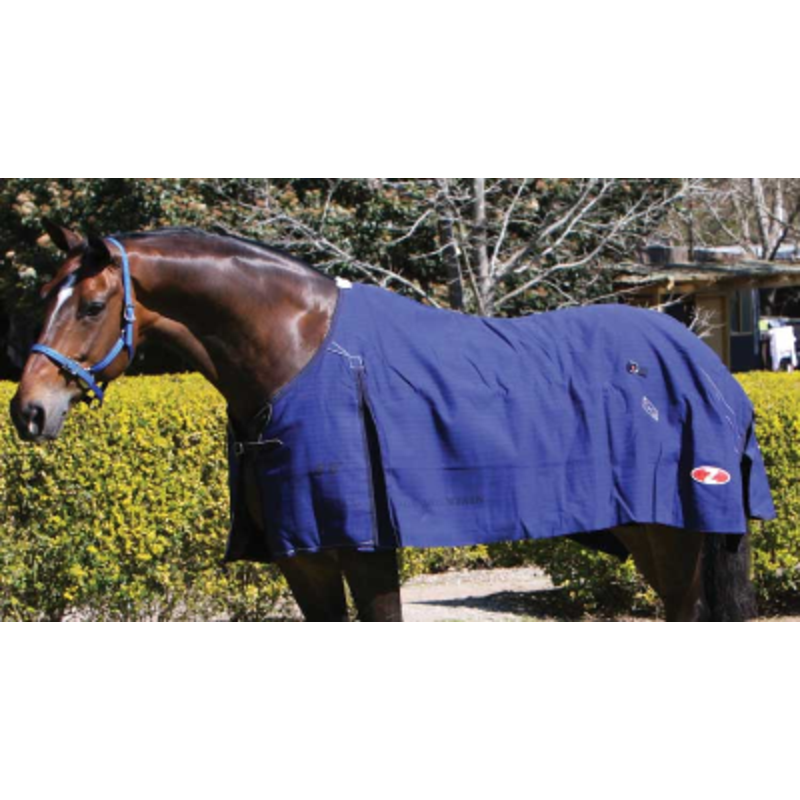 Blue Mountain Canvas Rug