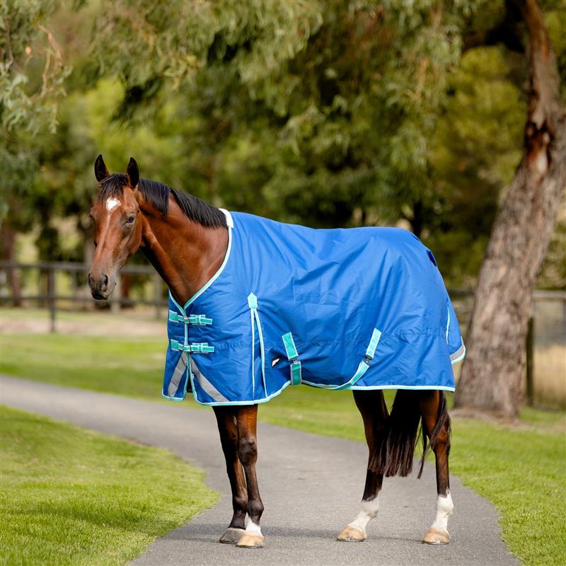 Blue Bolt Rug 100G