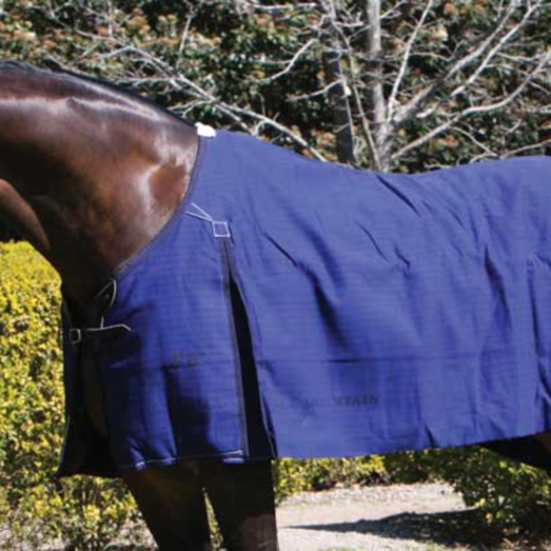 Blue Mountain Canvas Rug