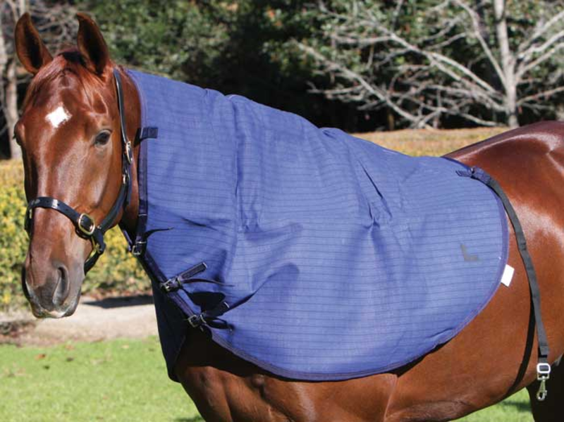 Blue Mountain Canvas Neck Rug