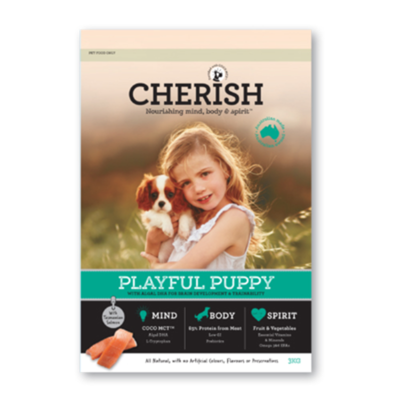 Cherish Puppy Playful