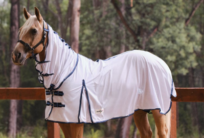 Eureka Air Mesh Combo