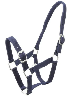 Stable Halter Buckle