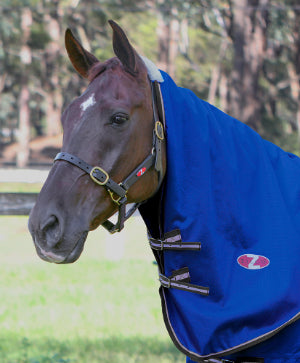 Zilco Garrison Neck Rug 1200D