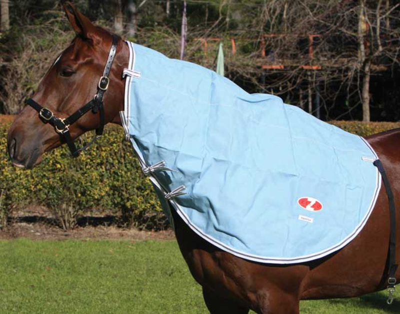 Hamilton Neck Rug (unlined canvas)