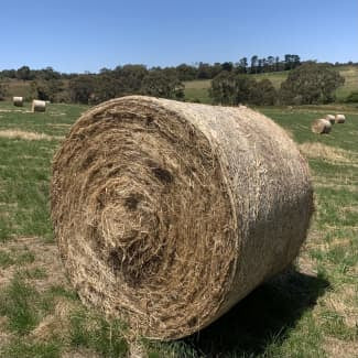 Avery Meadow Hay Roll 4ft Limit 1 online