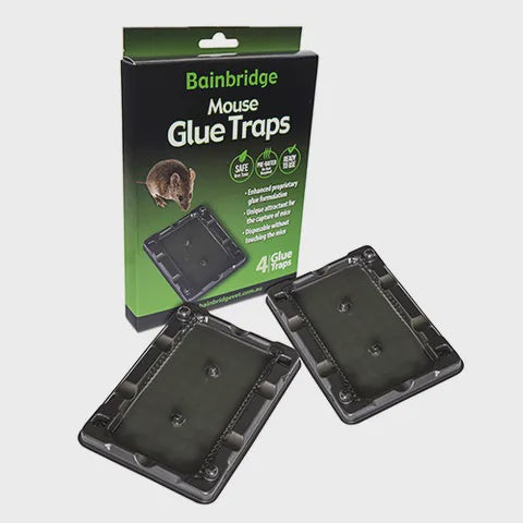 Mouse Glue Traps