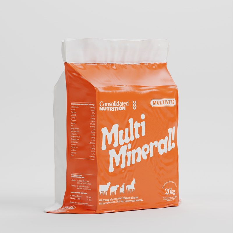 Multivite Horse Block (Orange/Mineral)20kg