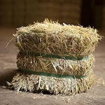 Oaten Export Hay