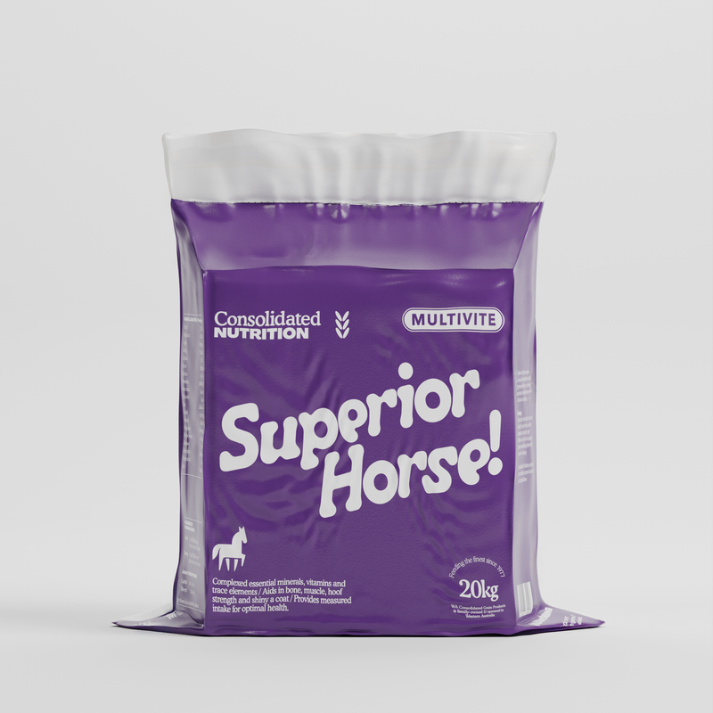 Superior Horse Block