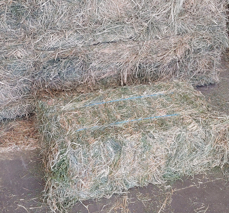 Rhodes Regular Bales