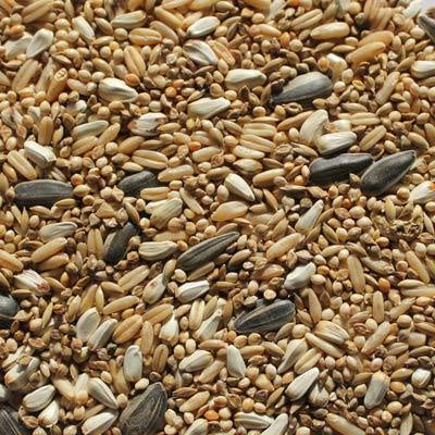 Small Parrot Mix 4kg