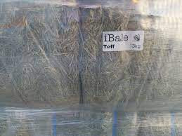 Teff IBales