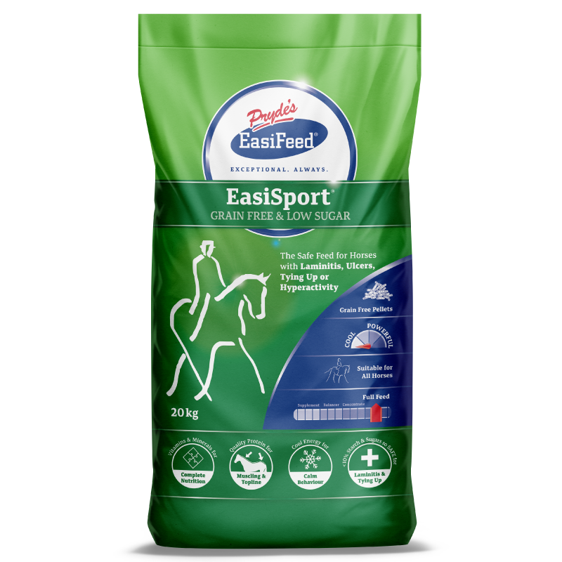 EasiSport
