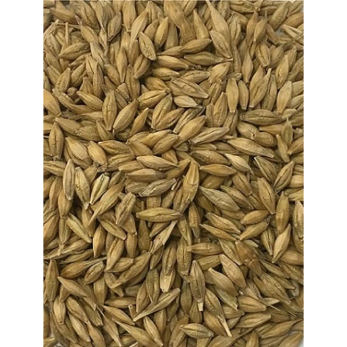 Whole Barley