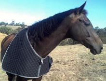 Bib Quilted Cob