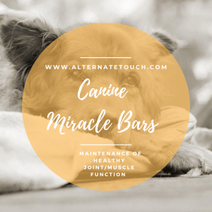 AT Canine Miracle Bar