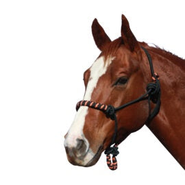 Rope Halter Woven Two Tone