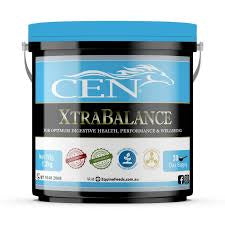 CEN XtraBalance 1.2kg