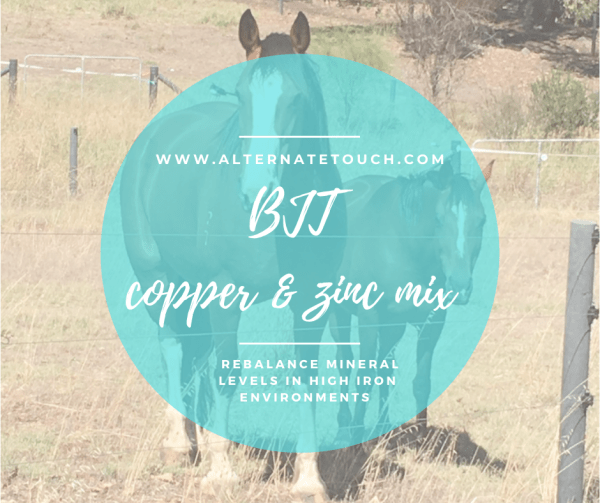 AT BJT Copper Zinc Mix