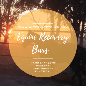Equine Recovery Bars