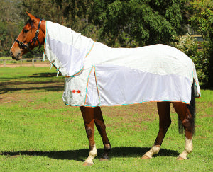 Hybrid Combo (cotton & mesh)