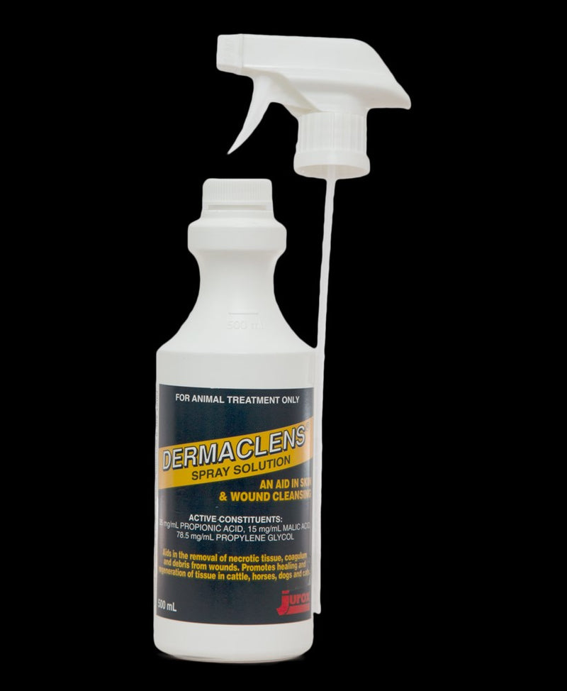 Dermaclens Spray 500ml