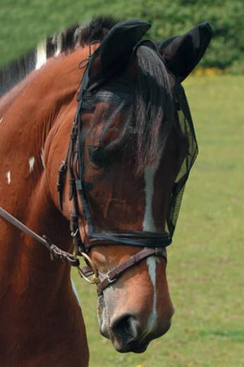 Showmaster Ride Free Fly Veil with ears