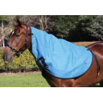 Rip Protector Canvas Neck Rug