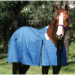 Rip Protector Canvas Rug