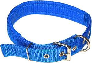 Blue Webbing Dog Collar 55cm x 2.5cm