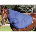 Blue Mountain Canvas Neck Rug