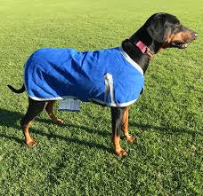 Tuff Dog Rug Indoor Suede