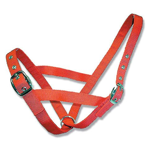 Cattle Halter