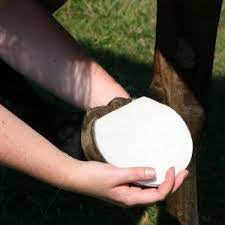 Hoof Pack Poultice 3pcs