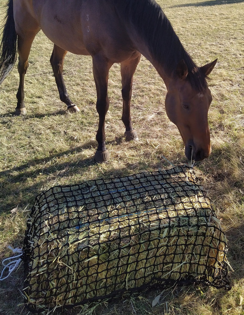 Neigh Nets Knotless HayNet